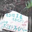 nodigのサムネイル