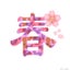 春桜のサムネイル