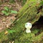 茜のサムネイル