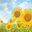 りそののサムネイル