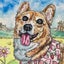 ハナママのサムネイル