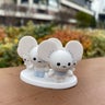 cyanのプロフィール