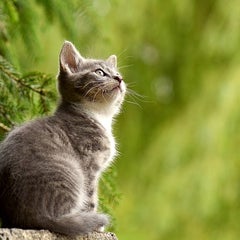ynのプロフィール
