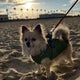 genmal27のおすすめのサムネイル