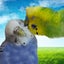 ナリダのサムネイル