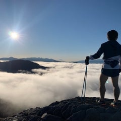ファンランガチ勢のプロフィール