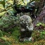 カメコのサムネイル