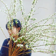 Mai Hoa Blogのプロフィール
