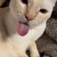 kotezun82のサムネイル