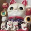 杏桃太（すももた）のサムネイル