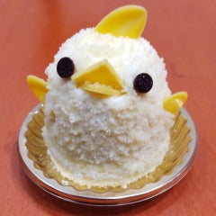 ロバのプロフィール