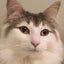 くみねこのサムネイル