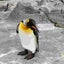 うりのサムネイル