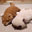 KODAMONのサムネイル