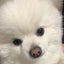 pupupusoraのサムネイル