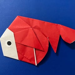 あかたのプロフィール