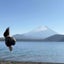クロルのサムネイル