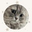 maru-a-89のサムネイル