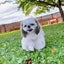 nyao 88のサムネイル