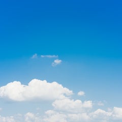 ひまわりの空のプロフィール