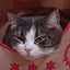 画像 auf Regen folgt Sonnenschein  ☆☆のユーザープロフィール画像