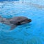 てすとのサムネイル