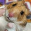 くっこのサムネイル