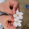 hushhushのプロフィール