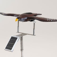 鳥害対策：ゼロバード ZEROBIRDのプロフィール
