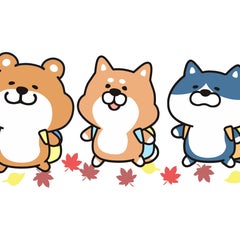 どんのプロフィール