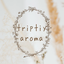 画像 TRIPTIY AROMA (内側を調えるアロマ)【 熊本】益城町AROMA BARのユーザープロフィール画像