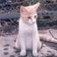 画像 コロナワクチン後遺症。のキロクのユーザープロフィール画像