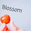 画像 身体とお肌を元気にする【Blossom】のユーザープロフィール画像