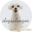画像 君津市トリミングサロンdogsalongoo /ドッグサロングーのblogのユーザープロフィール画像