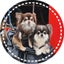 画像 ✱･ちわわせらいふ･✱ 保護犬・麦と我流との日々のユーザープロフィール画像