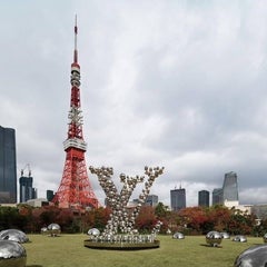 Ceriのプロフィール