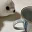 ぱぴぷぺぽっぽのサムネイル