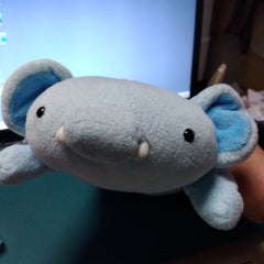 ゾウたん@株も馬券も買わないラジオNIKKEIリスナーのプロフィール