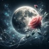 coralのプロフィール