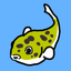 画像 お魚と作るアクアリウムのユーザープロフィール画像