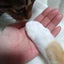 画像 癌と私と猫の日々 子宮頸癌(小細胞癌)のユーザープロフィール画像
