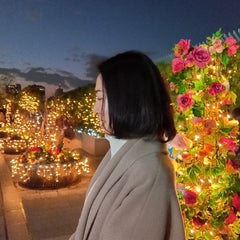 ネオスピ社労士　藍（らん）のプロフィール