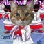 画像 お空の愛猫・娘への想いと日々の記録のユーザープロフィール画像