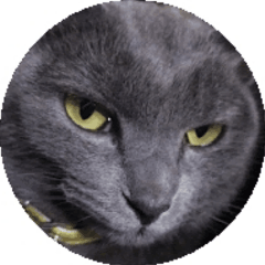 BLACK CATのプロフィール