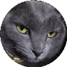 BLACK CATのプロフィール