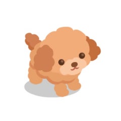 ぽんたママのプロフィール