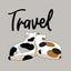 画像 アラフィフ女子の旅と愛猫との日常ブログのユーザープロフィール画像