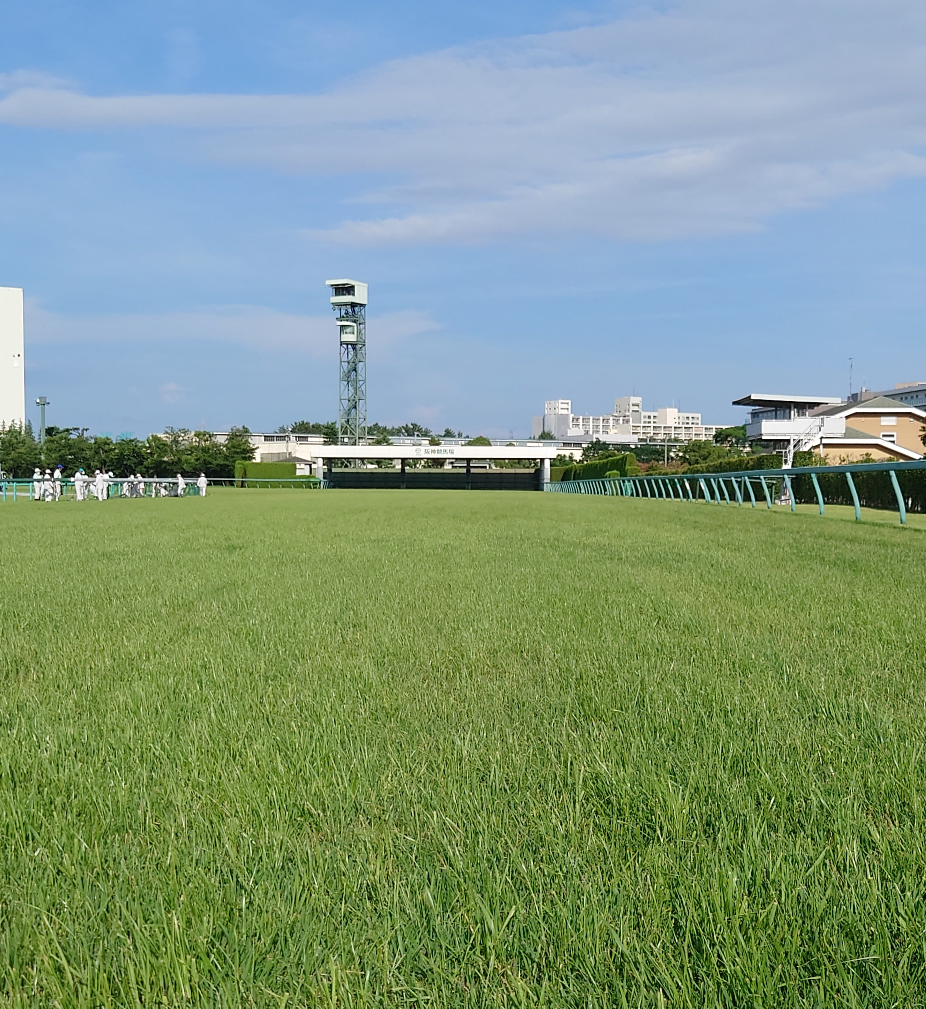 横田めぐみ 兄弟