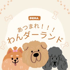 あつまれ！わんダーランド🐾のプロフィール