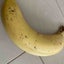 画像 banana-milk-chocoのブログのユーザープロフィール画像